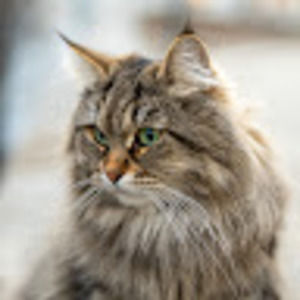 Meet your Posher, Yulia